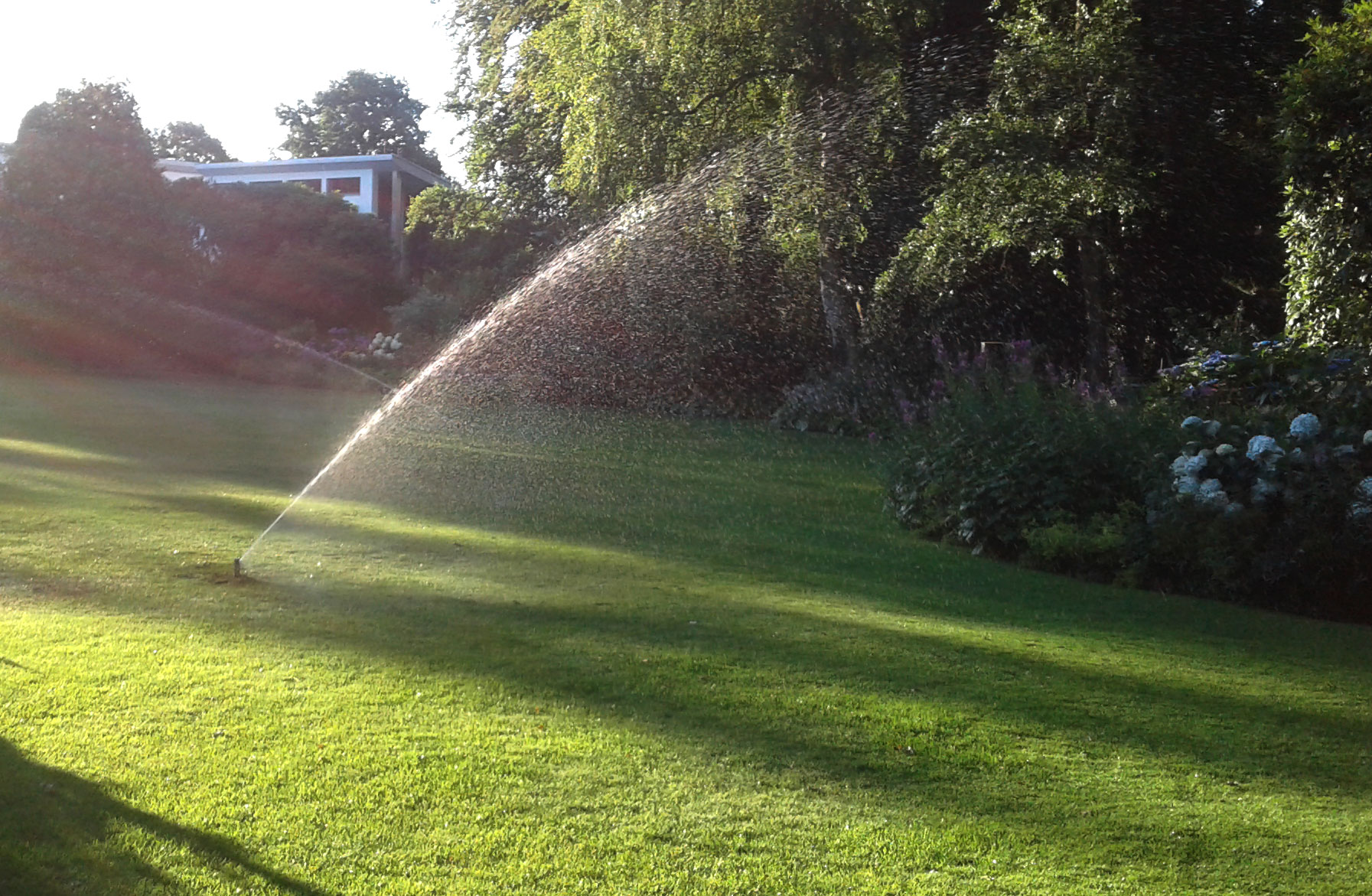 Gartenbewässerung und Lichtgestaltung | Welters Garten und ...